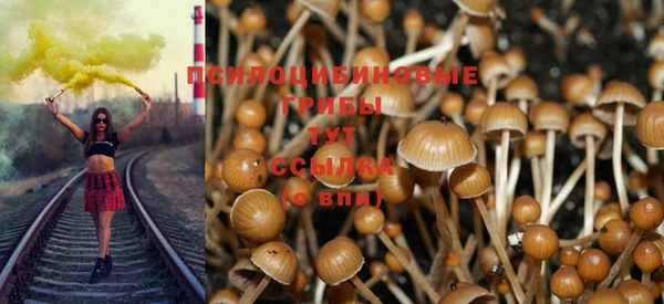 круглые Няндома