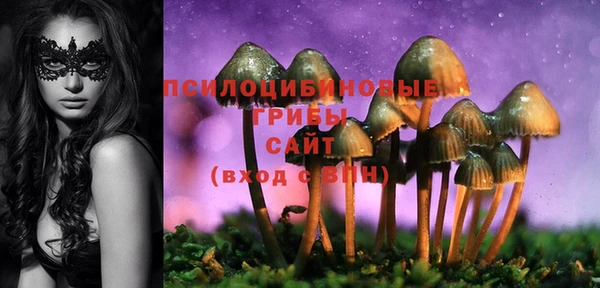 мяу мяу мука Нягань