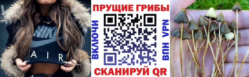 кракен рабочий сайт  Микунь  Галлюциногенные грибы MAGIC MUSHROOMS 